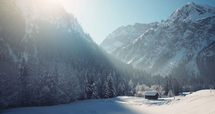 Viktor Hegedüs GmbH: News, Winter holidays