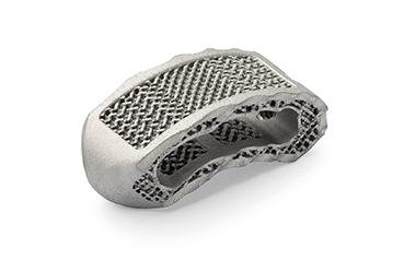 Viktor Hegedüs GmbH: Titanium acid etching, Spinal implant, Product image